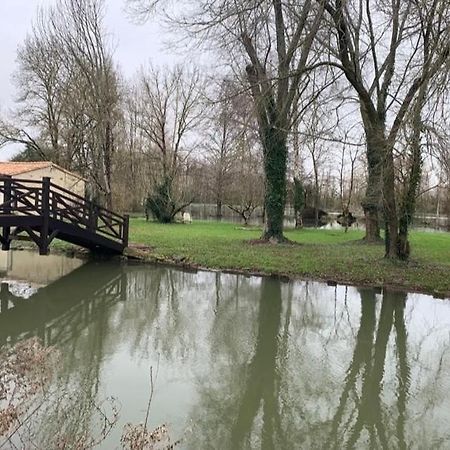 Maison Terrasse Proche Centre Ville Et Ile De Re Λα Ροσέλ Εξωτερικό φωτογραφία