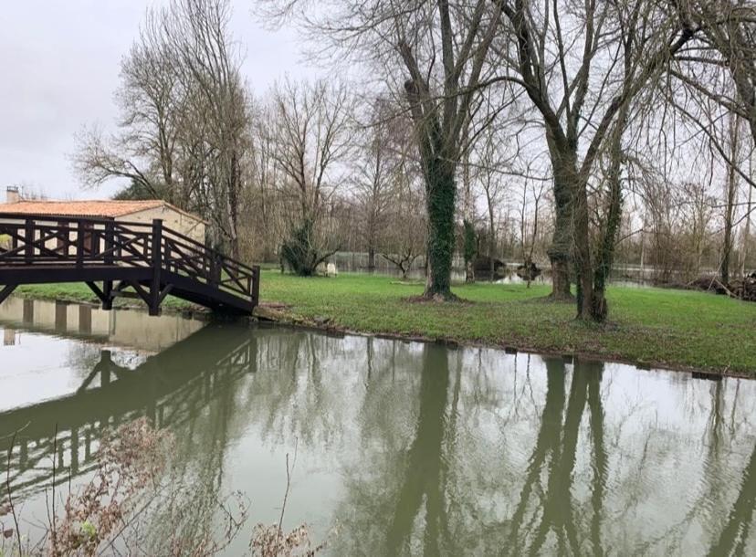 Maison Terrasse Proche Centre Ville Et Ile De Re Λα Ροσέλ Εξωτερικό φωτογραφία